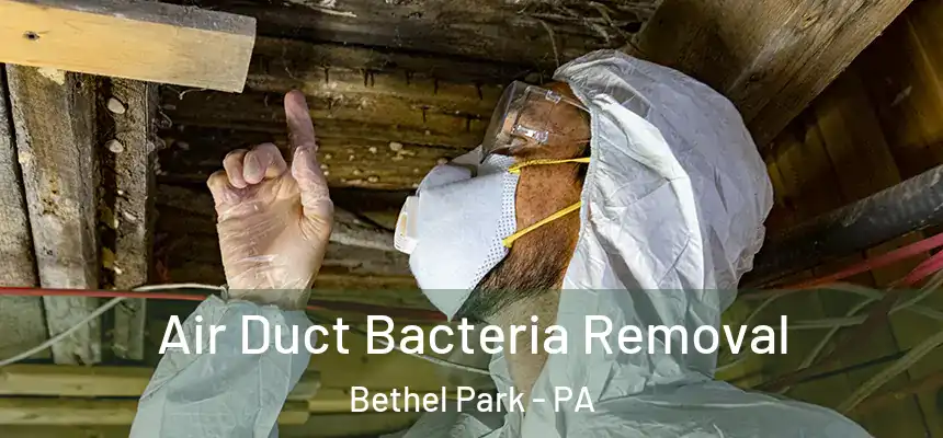 Air Duct Bacteria Removal Bethel Park - PA