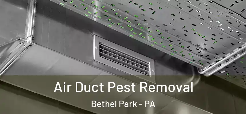  Air Duct Pest Removal Bethel Park - PA