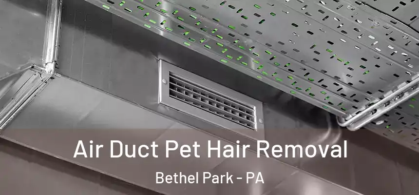  Air Duct Pet Hair Removal Bethel Park - PA
