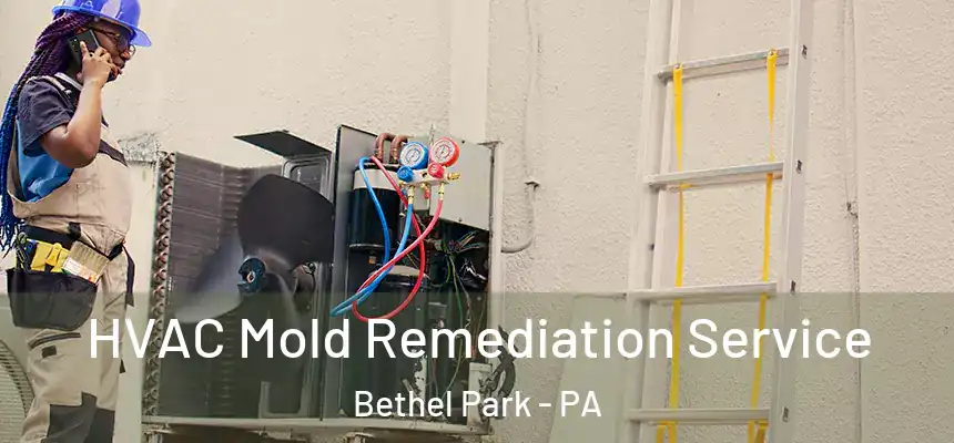  HVAC Mold Remediation Service Bethel Park - PA