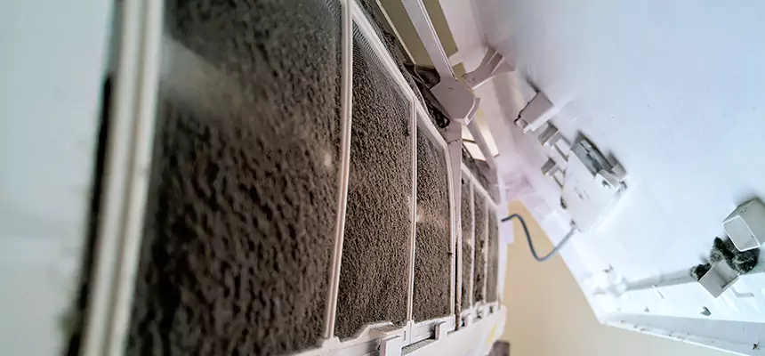 Preventive Air Duct Bacteria Removal in Bethel Park