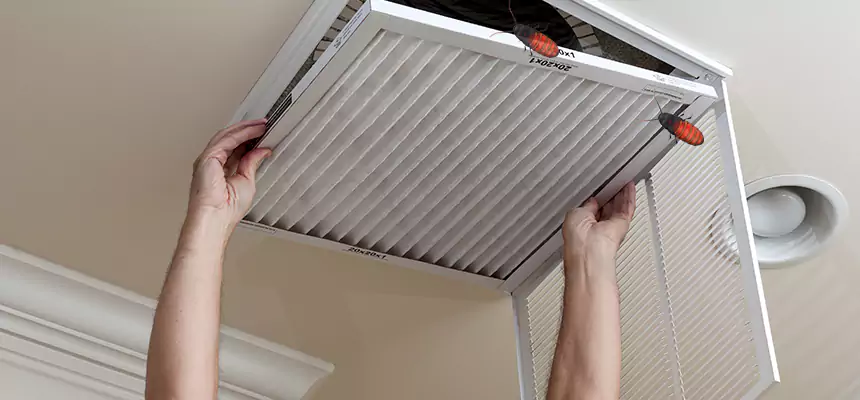 Preventive Cockroach-Proofing for Ducts in Bethel Park