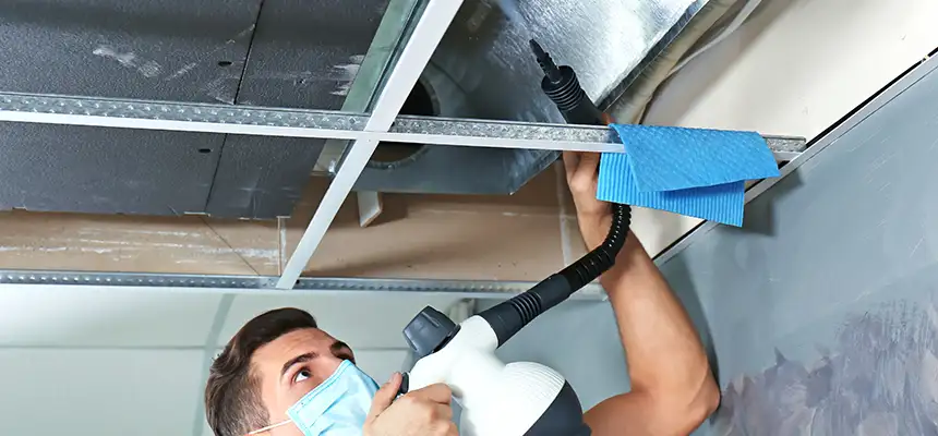 Our Air Duct Rodent Removal Services in Bethel Park, PA