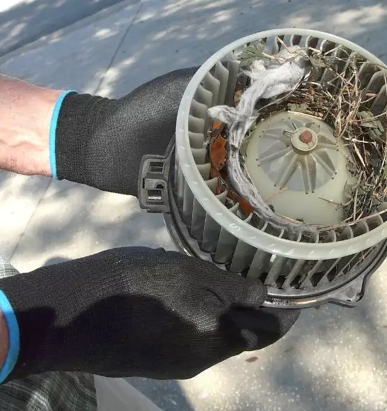 About Air Duct Rat Removal in Bethel Park, PA