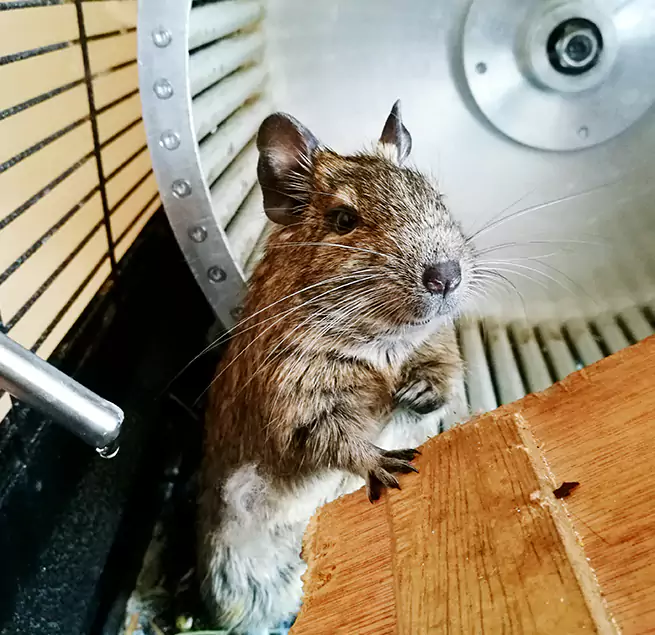 Why Homeowners & Businesses Trust Us Bethel Park, PA